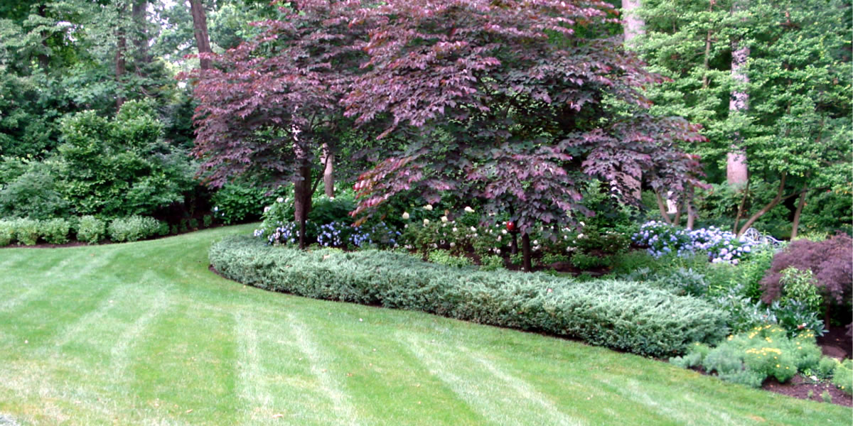 Layered residential planting around a Hampton Roads home