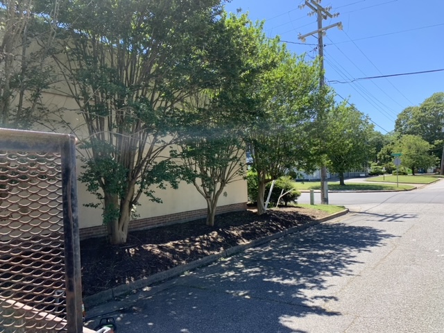 Commercial planting bed after cleanup and fresh mulch