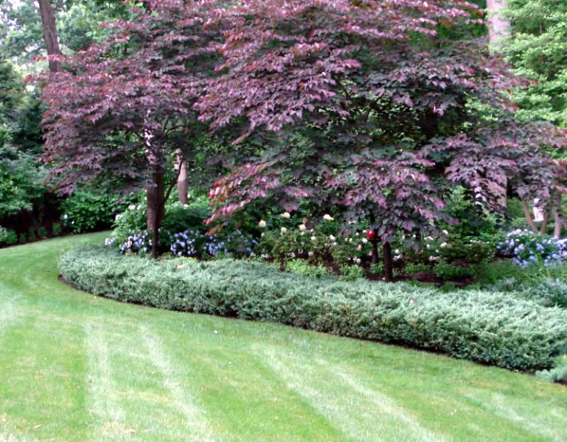 landscape-care-top